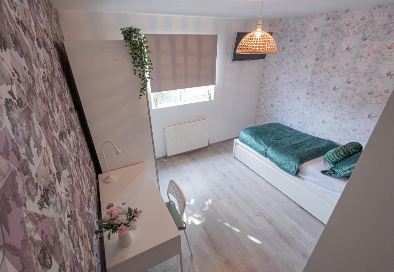 Forest Work & Relax Accommodation Overstone Exterior foto
